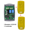 1 Receptor + 2 Controles Remotos